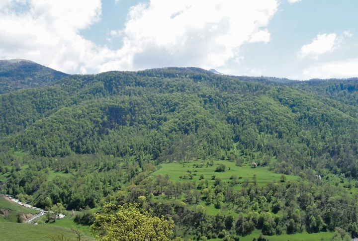 Armenian Forests for Present and Future Generations