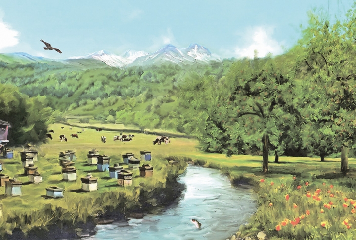 Integrated Erosion Control