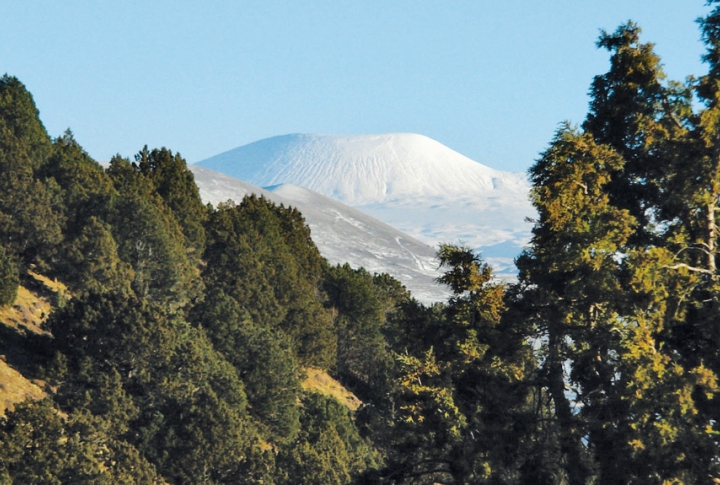 Payments for Ecosystem Services (PES)